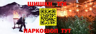 гашик Новозыбков