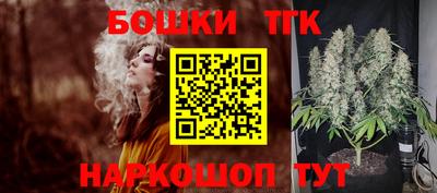 гашик Новозыбков