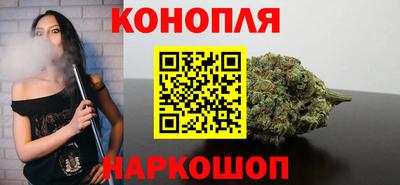 гашик Новозыбков