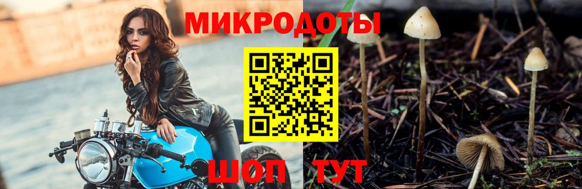 Галлюциногенные грибы прущие грибы  продажа наркотиков  Псилоцибиновые грибы прущие грибы  Серпухов  Вход с VPN 